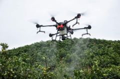 DJI Agras T16 Zirai İlaçlama Dronu