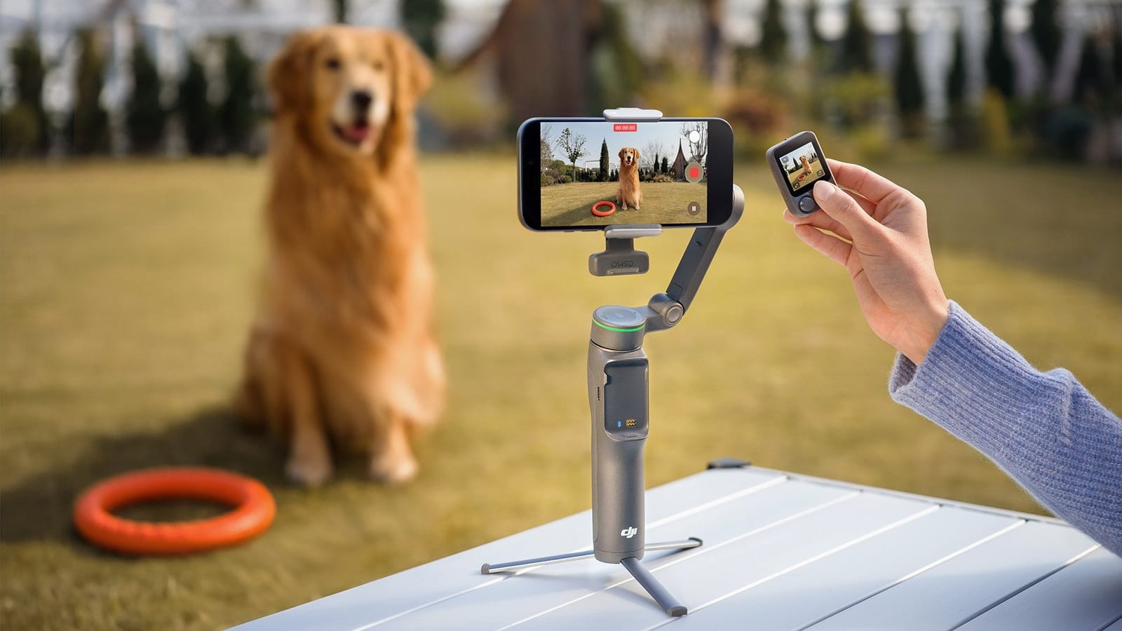 DJI Osmo Mobile 8P
